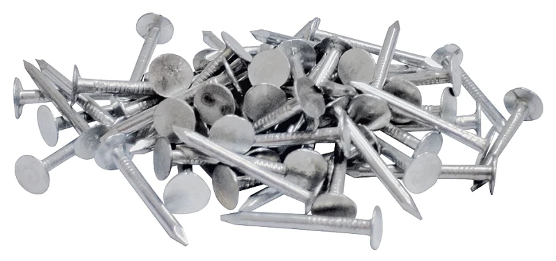 celebrationhardware3664782