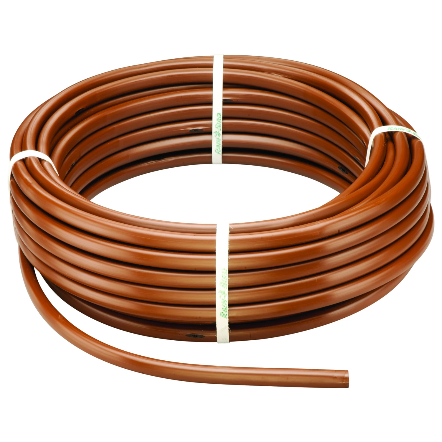 celebrationhardware3988661
