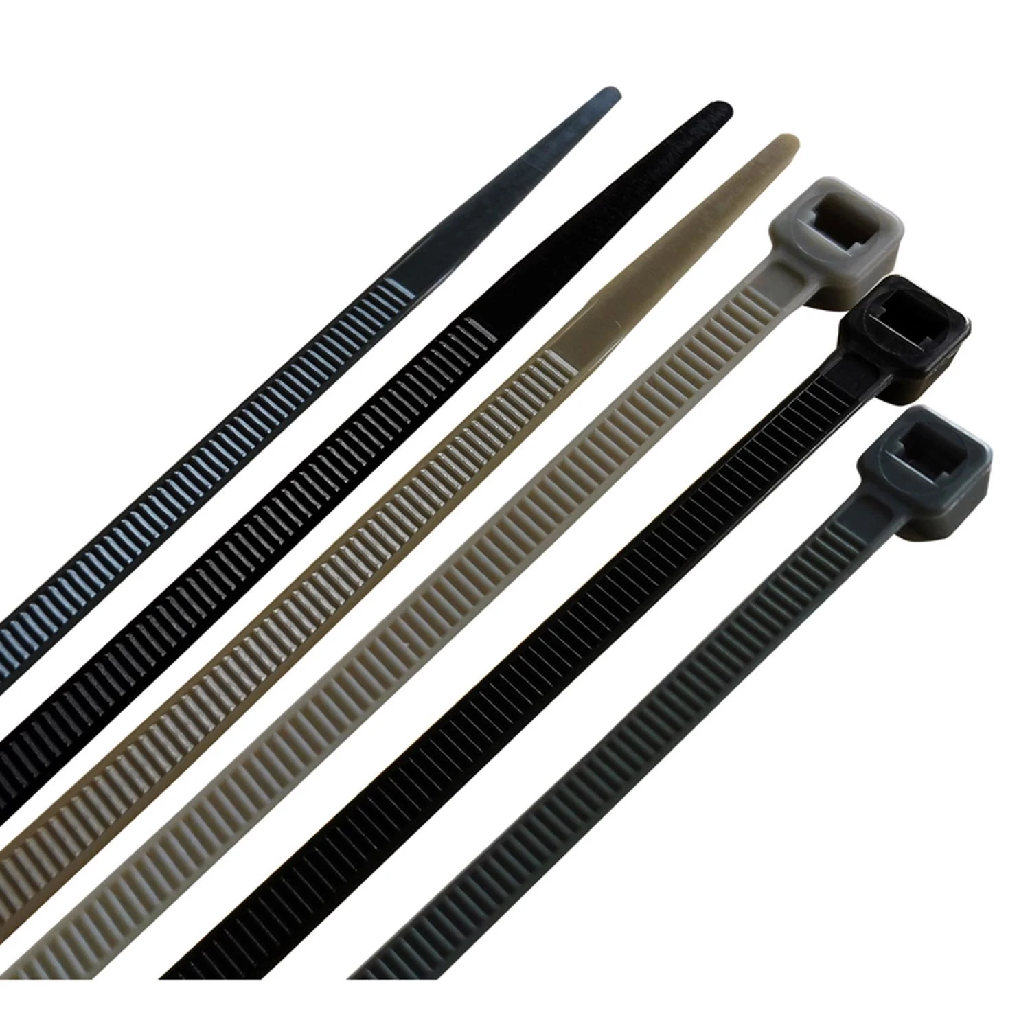 celebrationhardware4041244