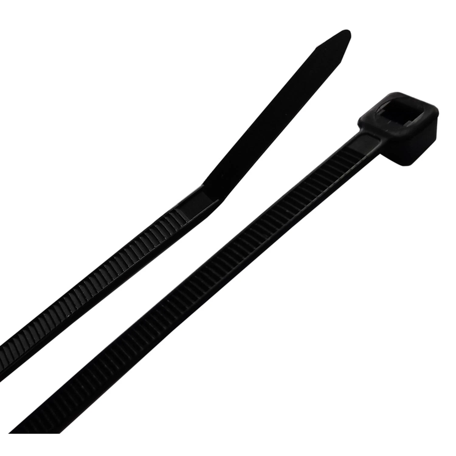celebrationhardware4563070