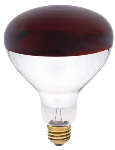 celebrationhardware4567162