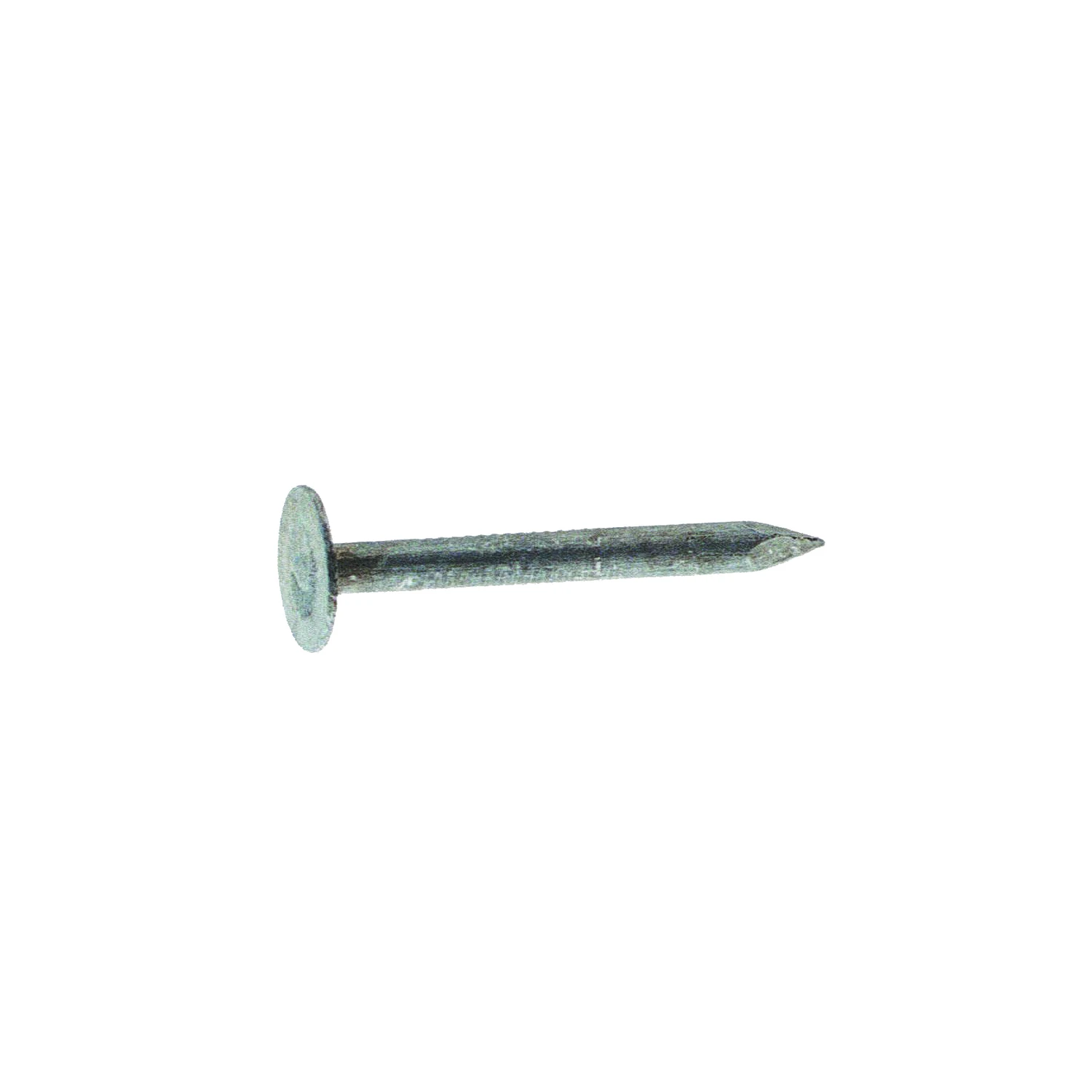 celebrationhardware4738029