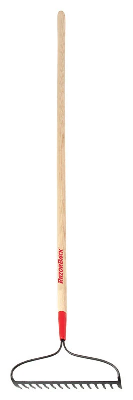 celebrationhardware4918404