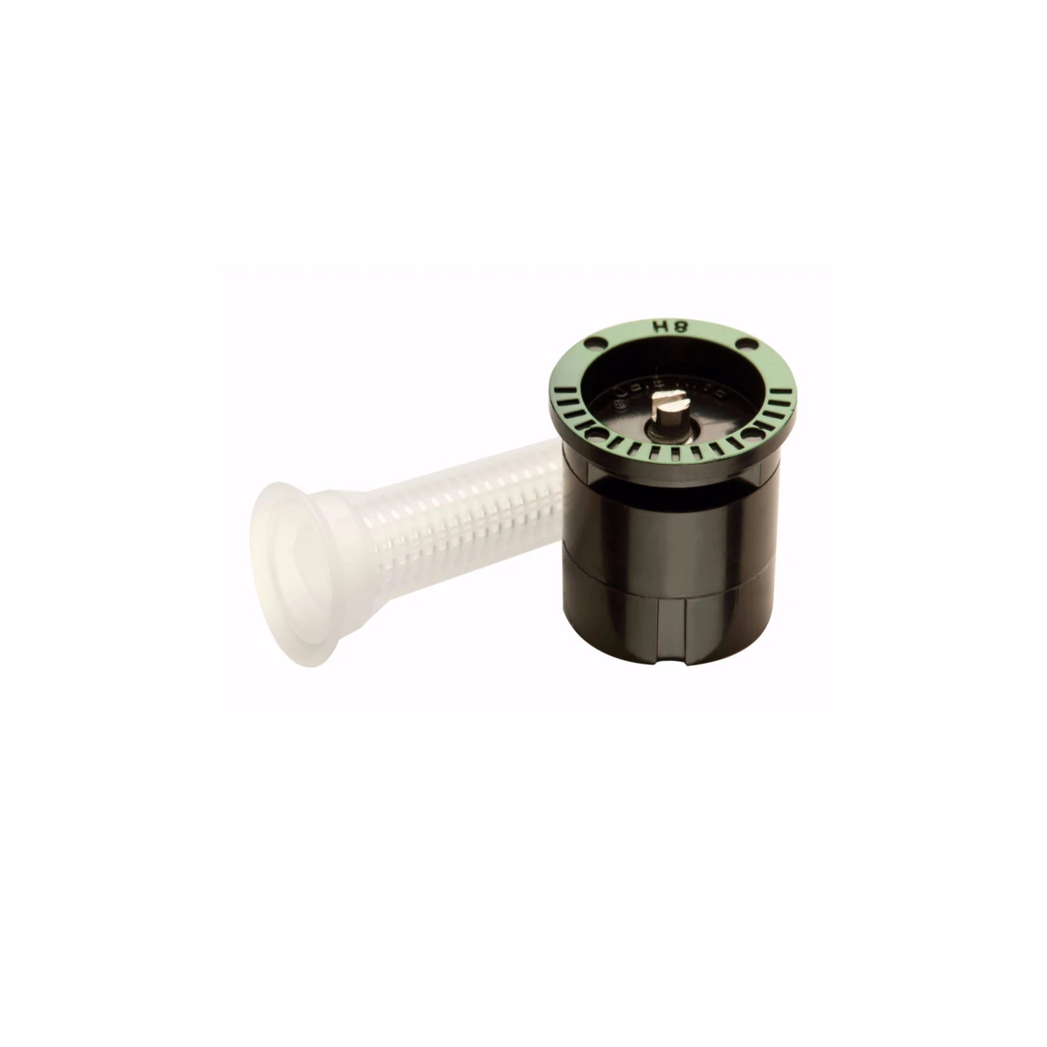 celebrationhardware4930276