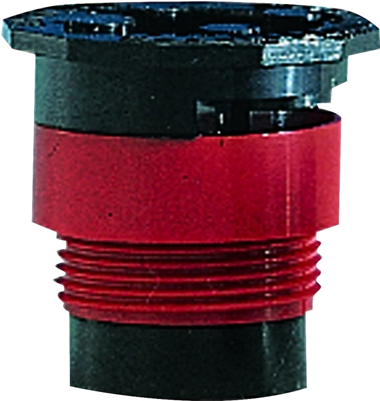 celebrationhardware4937176