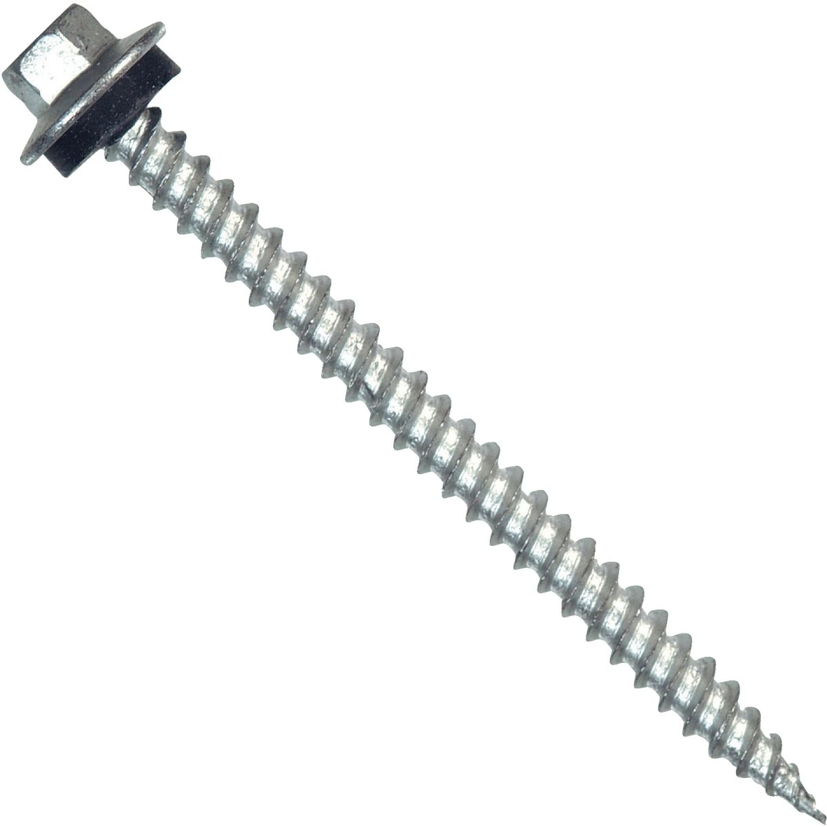 celebrationhardware4961485