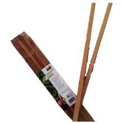 celebrationhardware4966903