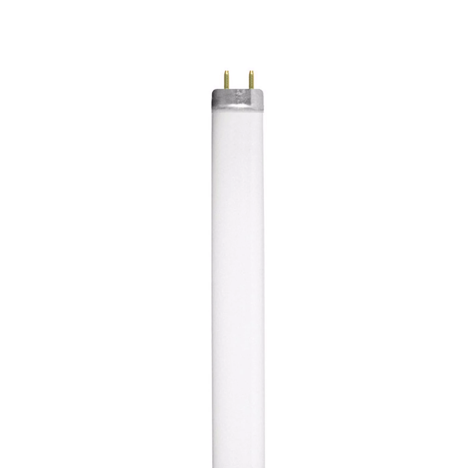 celebrationhardware5164169