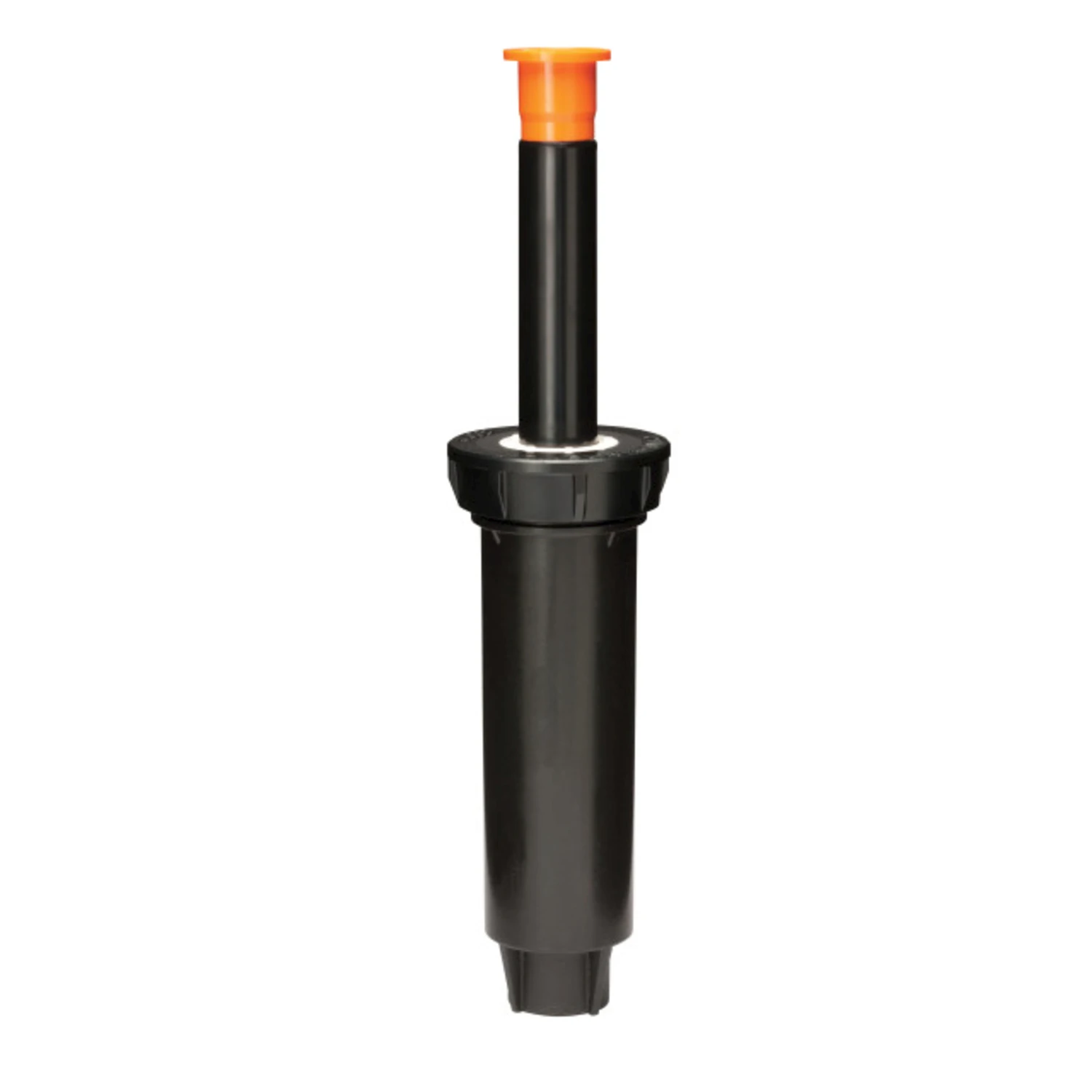 celebrationhardware5427646