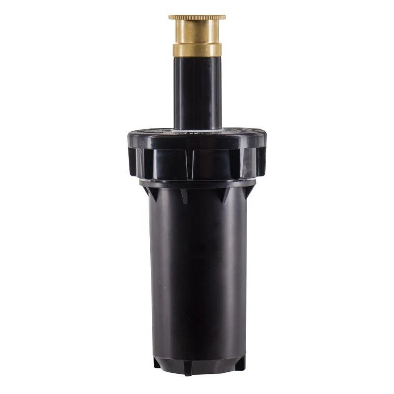 celebrationhardware5510633