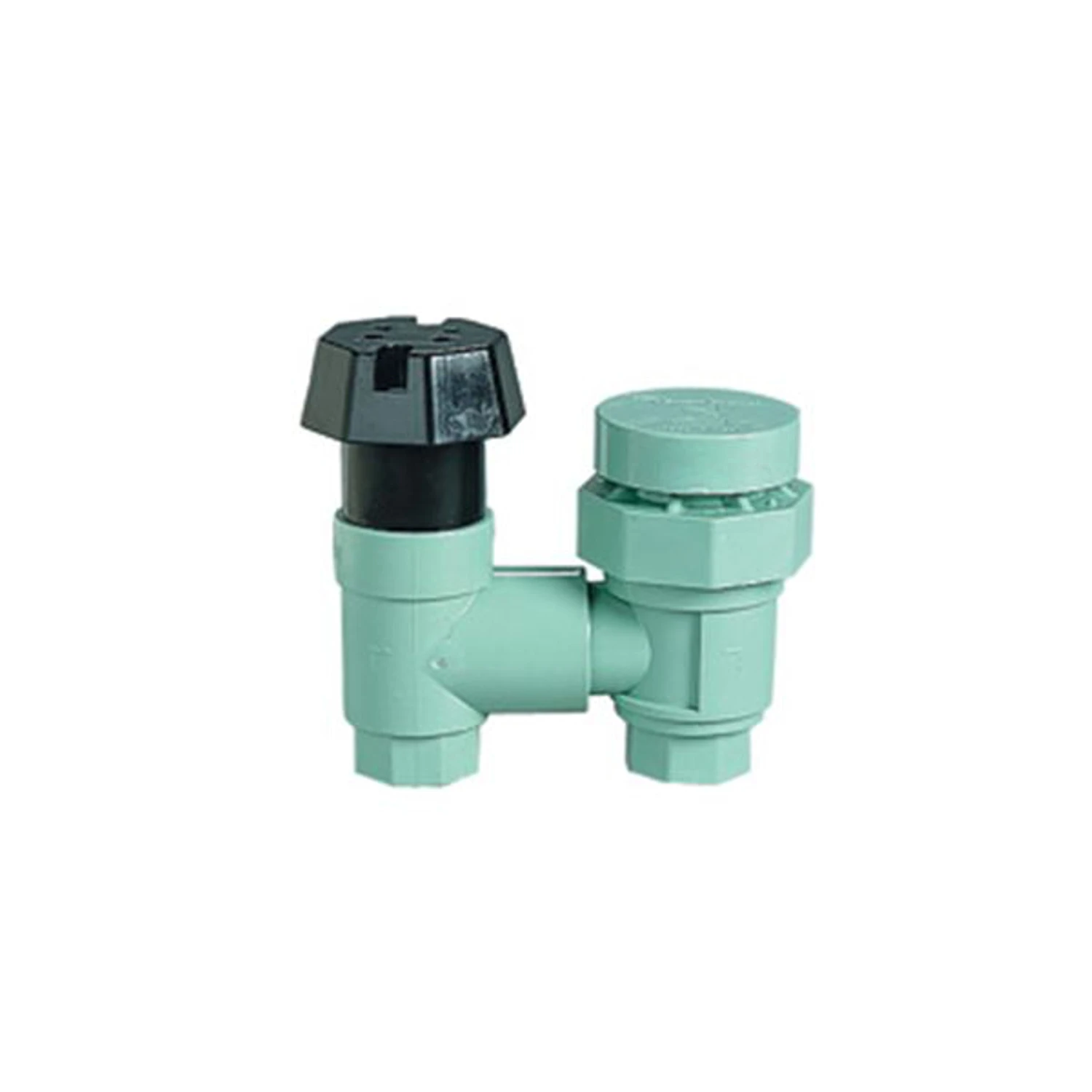 celebrationhardware5510962