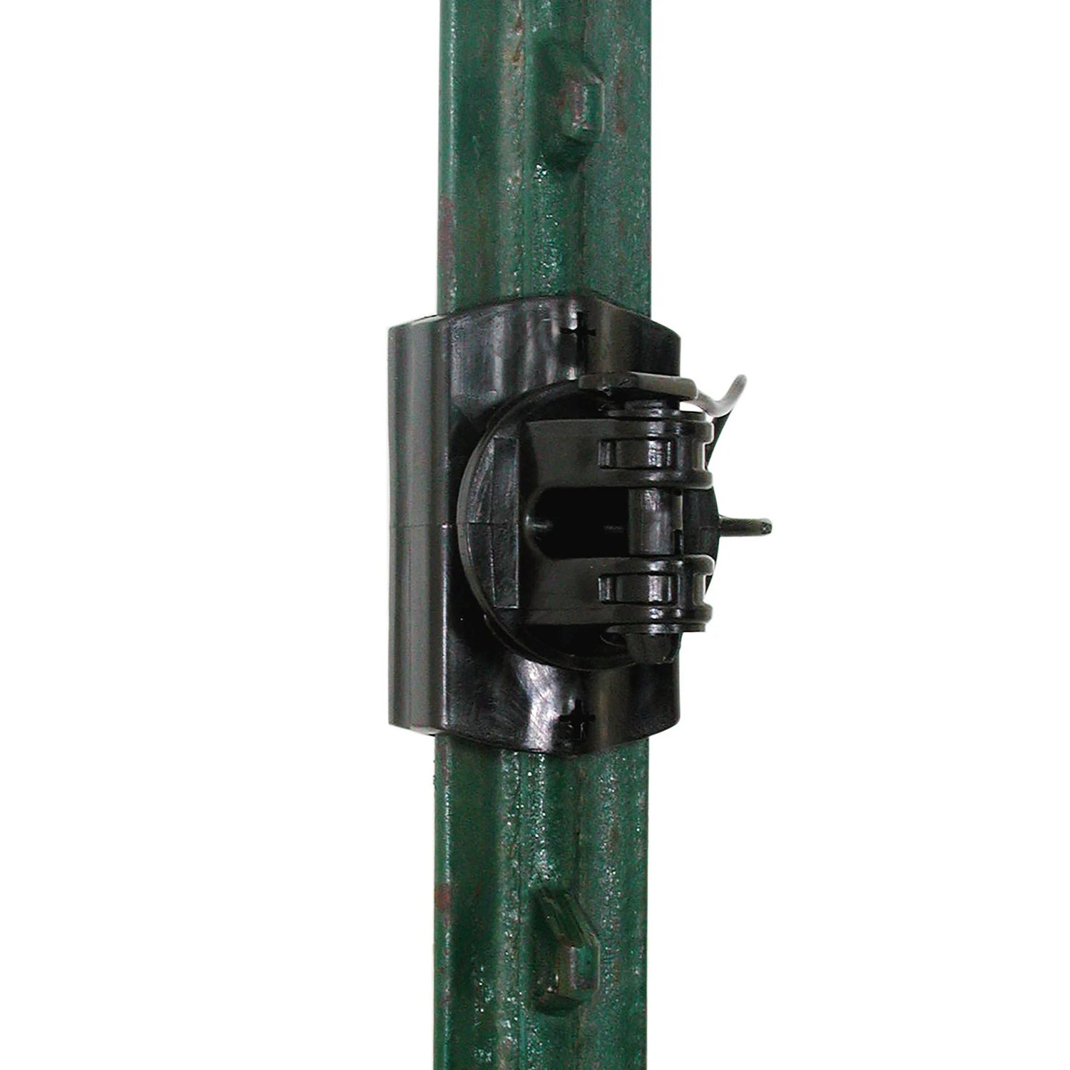 celebrationhardware5512047