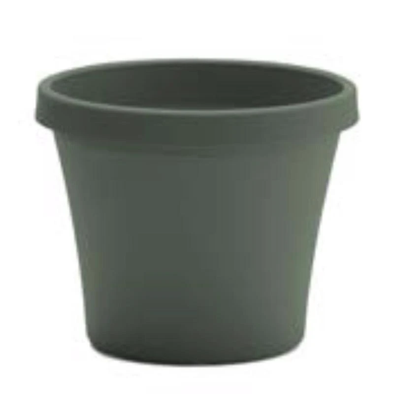 celebrationhardware5515172