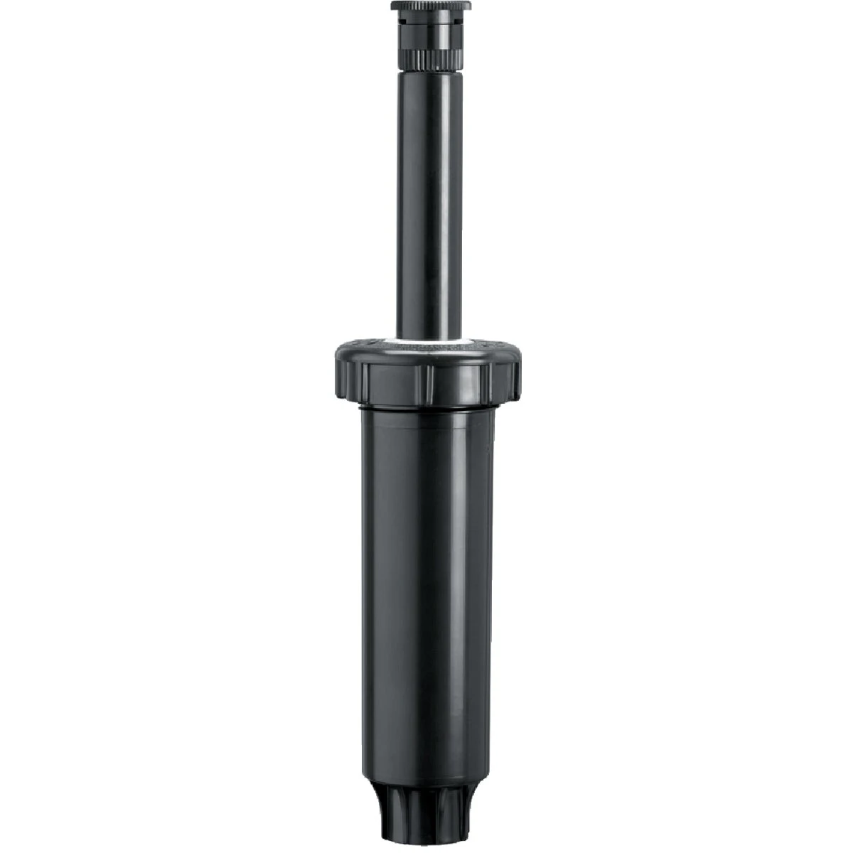 celebrationhardware5522907