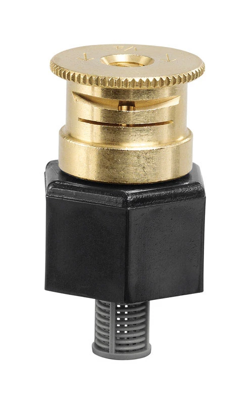celebrationhardware5522935