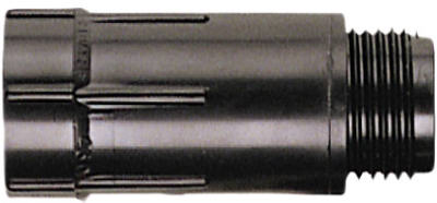 celebrationhardware5523007